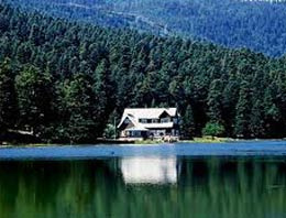 Orman arazilerinde sürpriz indirim