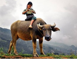 Şubat'ta en çok tıklanan kareler