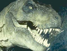 Bir ısırığı 600 ton gücünde!