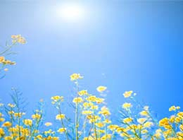 Kışlıklar dolaba, bahar geliyor