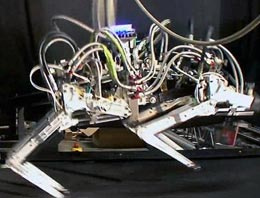 Robot ‘Çita’ hız rekoru kırdı!