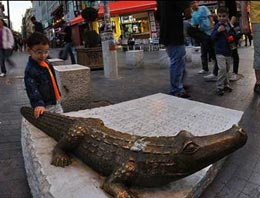 Kadıköy'de timsah tartışması!