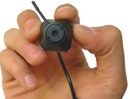 ABD yeni casus böcek geliştirdi