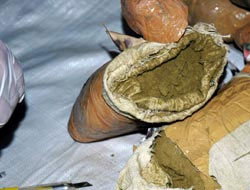 Nevruz'u 9 ton patlayıcıyla vuracaktılar